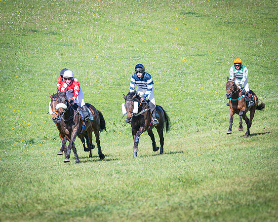 Race 5 - F N Pile and Sons PPORA Novice Riders (72 of 151)