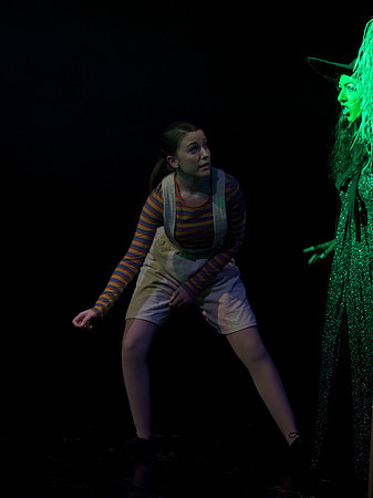 The Wizard of OZ -  293
