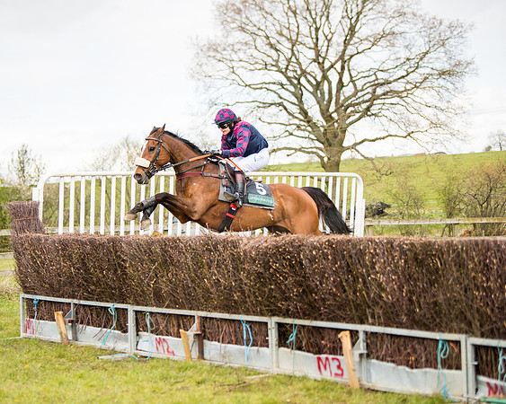 Race 3 - Owner Trainer conditions (101 of 132)