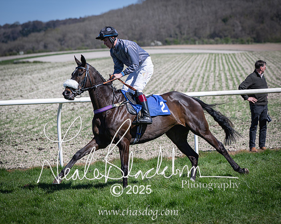 Race 2 - The Maiden (41 of 118)