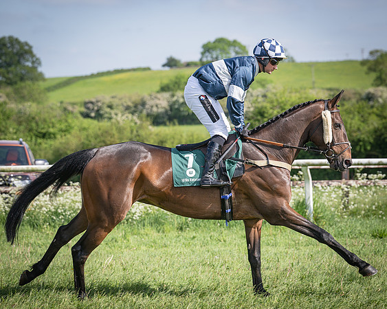 Race 5 - Restricted (39 of 116)