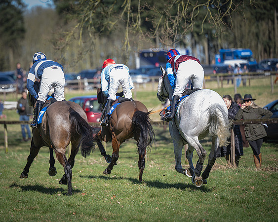 Race 1 - Veteran Horse (32 of 62)