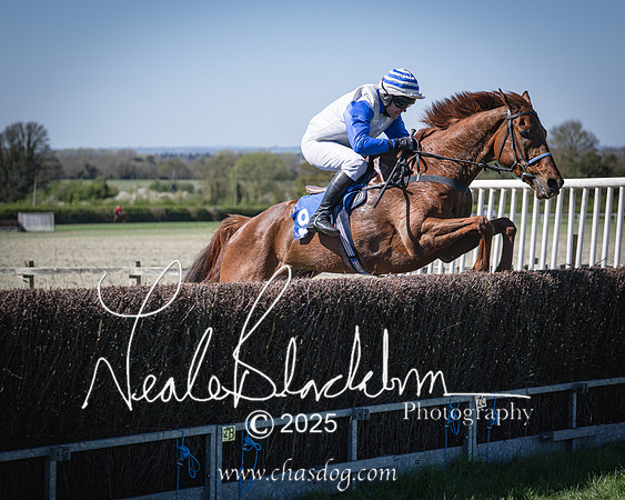 Race 2 - The Maiden (81 of 118)
