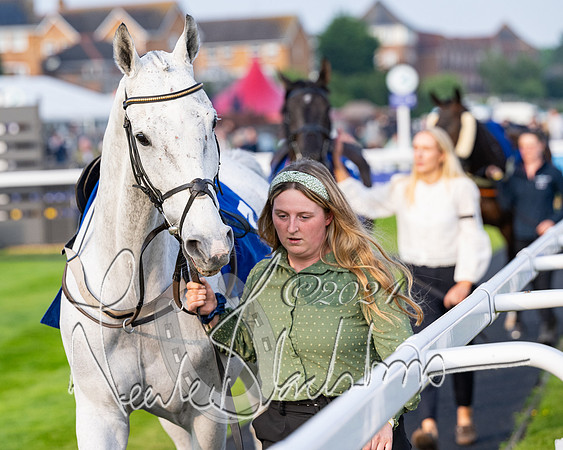 Race 4 - Stratford Foxhunters (2 of 145)