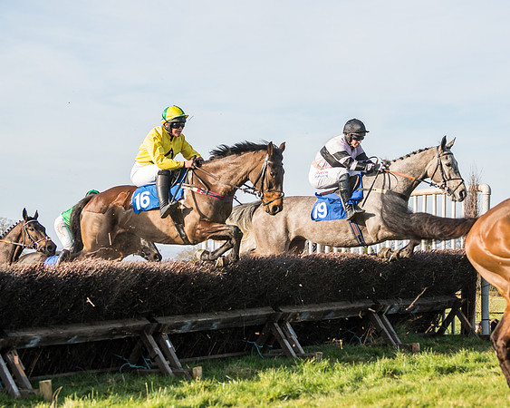 Race 5 - Restricted (25 of 146)
