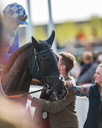 Race 1 - The open Hunter chase  (92 of 95)