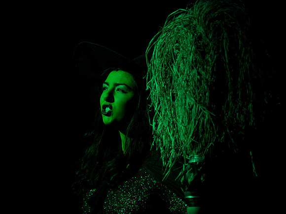The Wizard of OZ -  186