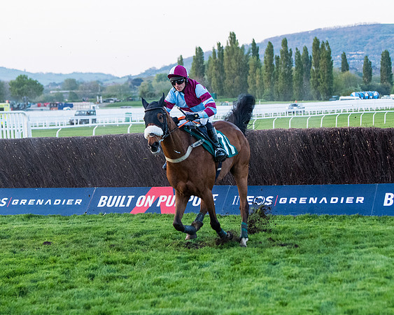 Race 7 - Glos Hussars  (130 of 245)