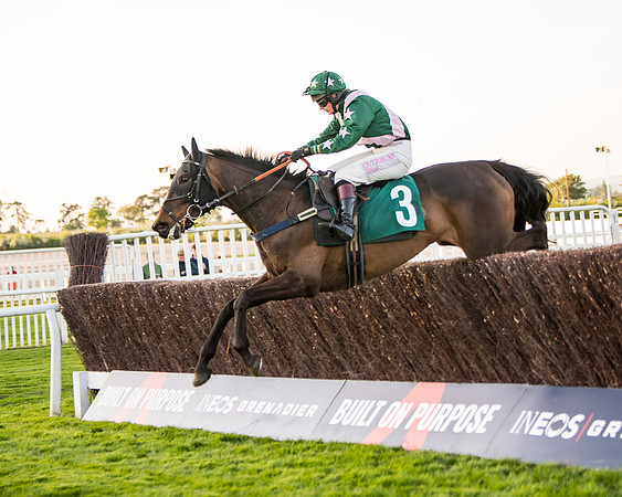 Race 5 - ITM Mares'  (66 of 181)