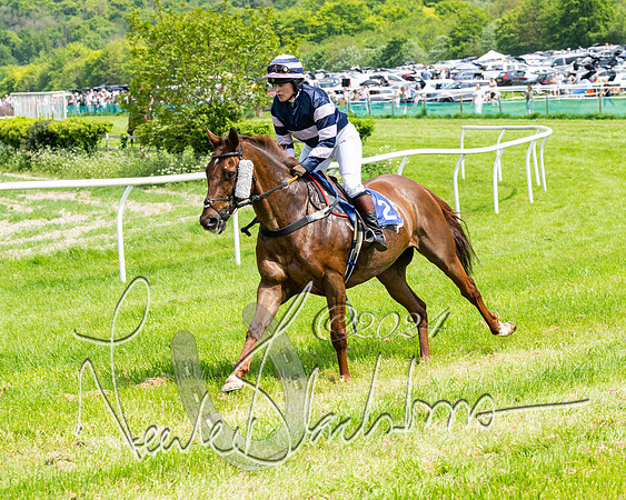 RAce 1 - Conditionsn [Level 2] (65 of 219)