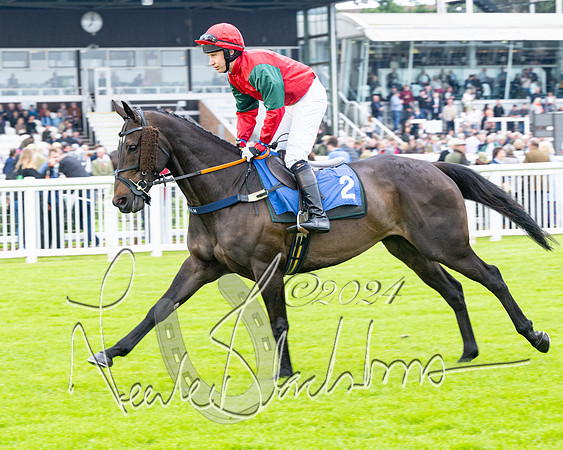 Race 3 - John Corbet Cup  (10 of 108)