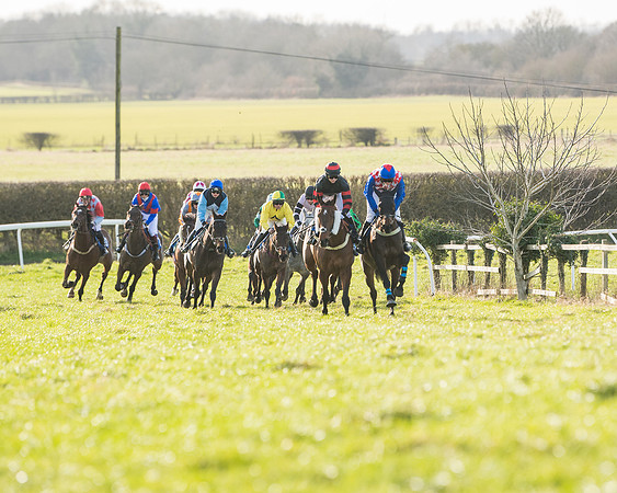 Race 5 - Restricted (39 of 146)