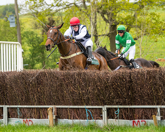 Race 7 - Open Maiden  (56 of 106)