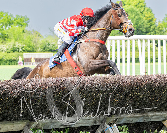 Race 2 - Restricted  (215 of 308)