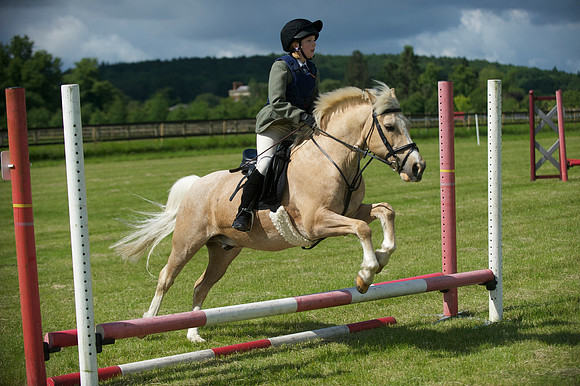 SOHS PC Summer Show at BCA 17th June 2012