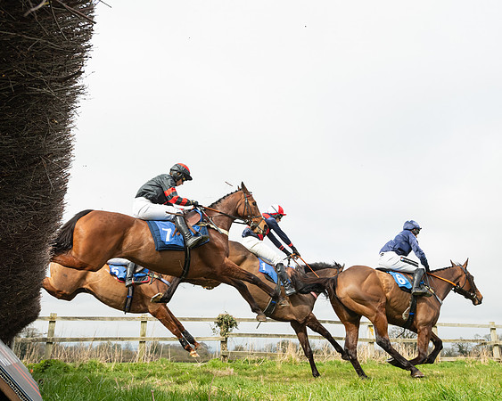 Race 2 - Veteran Horse (20 of 153)