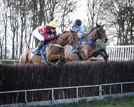 Race 6 - PPORA Novice Riders (31 of 95)