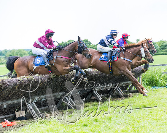 Race 3 - Conditions (225 of 367)