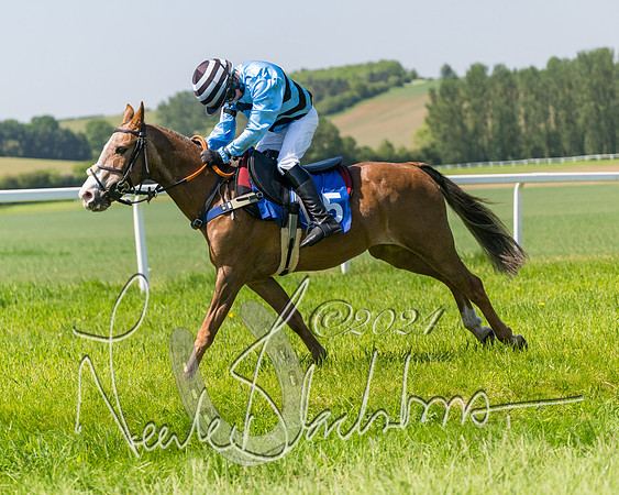 Pony Races  (54 of 141)