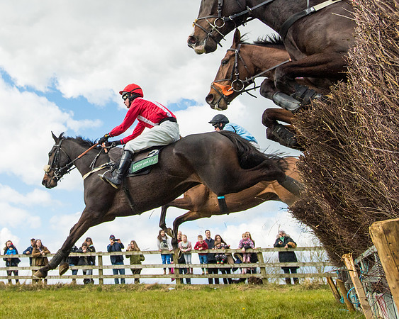 Race 2 - Young Horse Maiden (37 of 104)