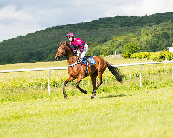 Race 6 - Open Maiden (34 of 227)