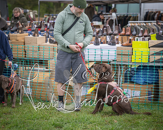 Bicester - Dog Show (33 of 106)