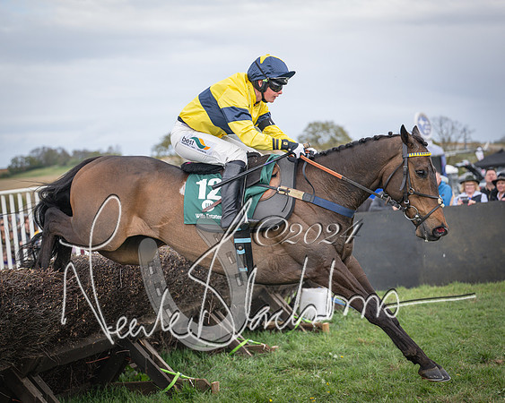 Race 3 - 5 years old and Over Maiden Race (70 of 130)