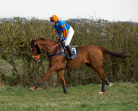 Race 6 - Open Maiden Race (5 of 99).jpg
