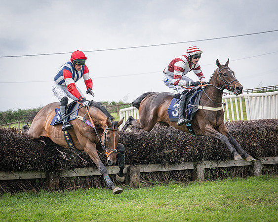 Race 6 - 2M4F Maiden (39 of 85)