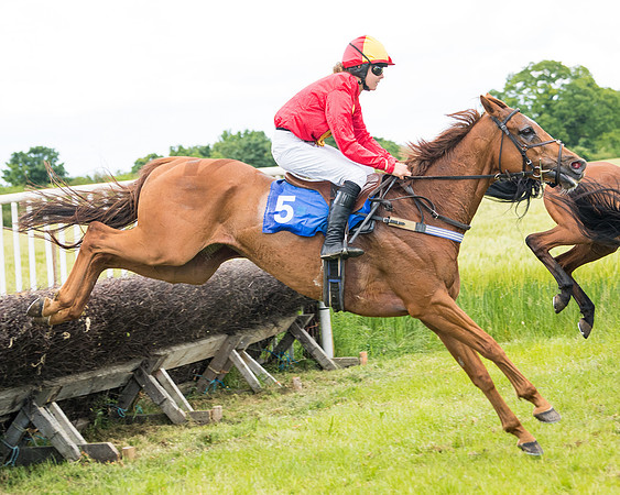 Race 5 - Restricted  (74 of 136)