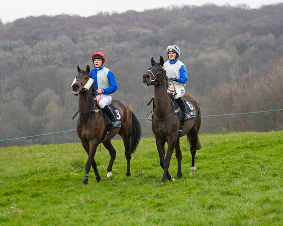 Race 5 - The Ineos Home Counties Grand National (29 of 133)