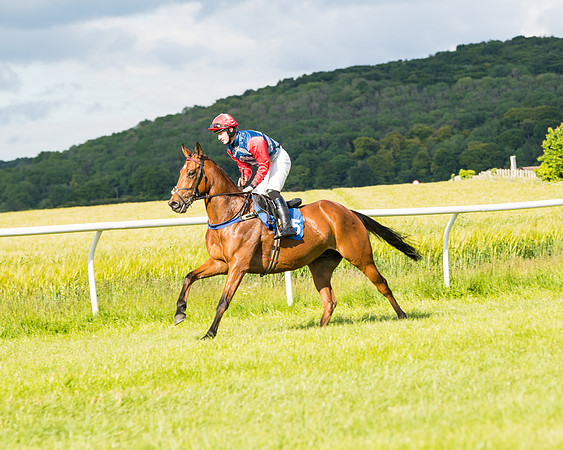 Race 6 - Open Maiden (65 of 227)