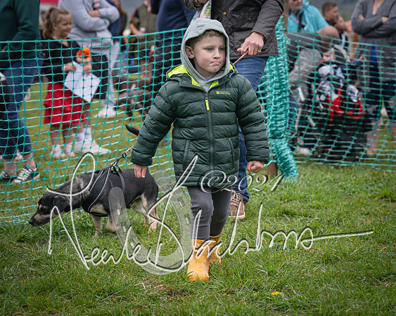 Bicester - Dog Show (71 of 106)