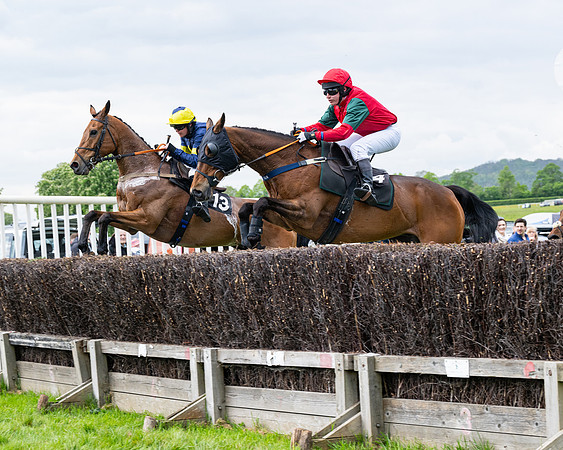 Race 2 - Veteran Horse (41 of 80)