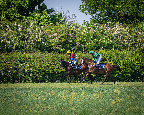 Race 3 The College and County Ladies Open Race (58 of 122)