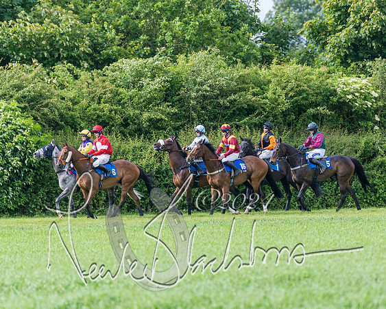 Race 5 - Restricted Race (172 of 434)