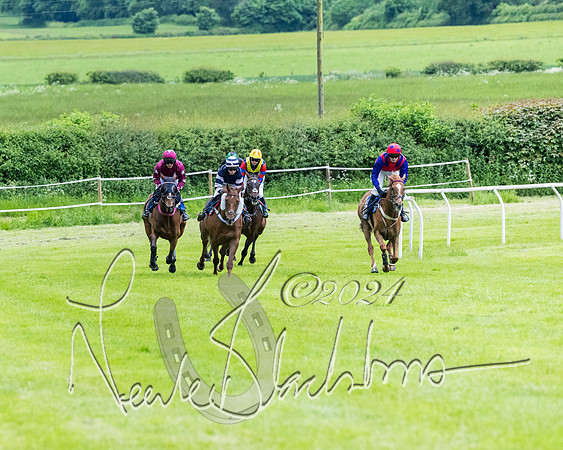 Race 3 - Conditions (203 of 367)