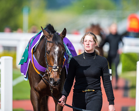 Race 1 - The open Hunter chase  (9 of 95)