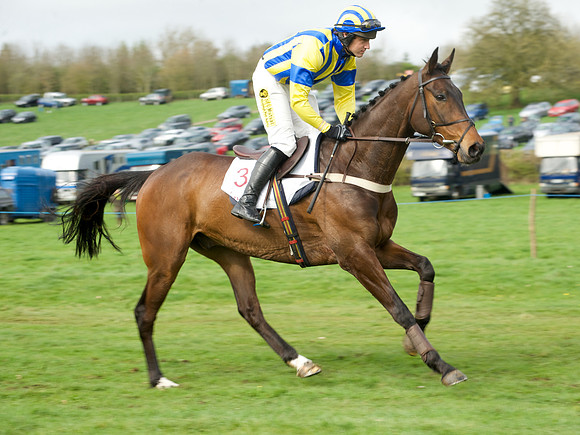 Race 5 - Restricted  27