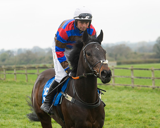 Race 3 - Open maiden  (14 of 273)
