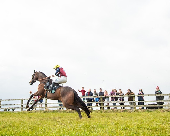 Race 5 - Restricted  (66 of 118)
