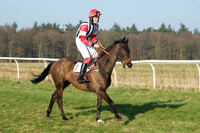 Races 5 - Restricted 9