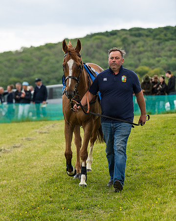 Race 2 - PPORA Novice Riders  (15 of 187)