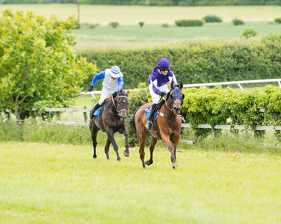 Race 5 - Restricted  (80 of 136)