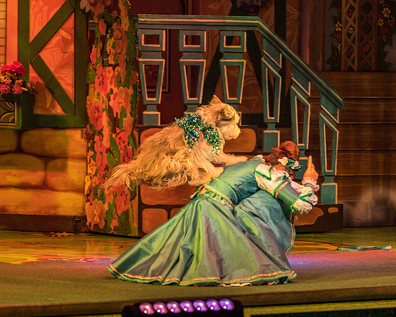 Swan Panto 2017