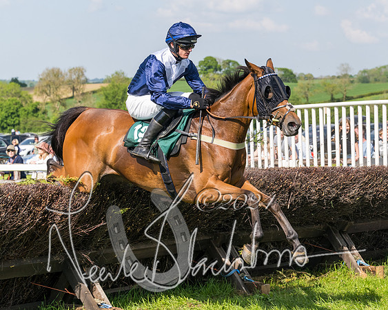 Race 4 - PPORA Novice Riders Final  (169 of 362)