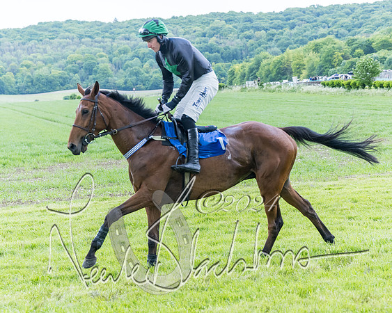 Race 3 - Conditions (85 of 367)
