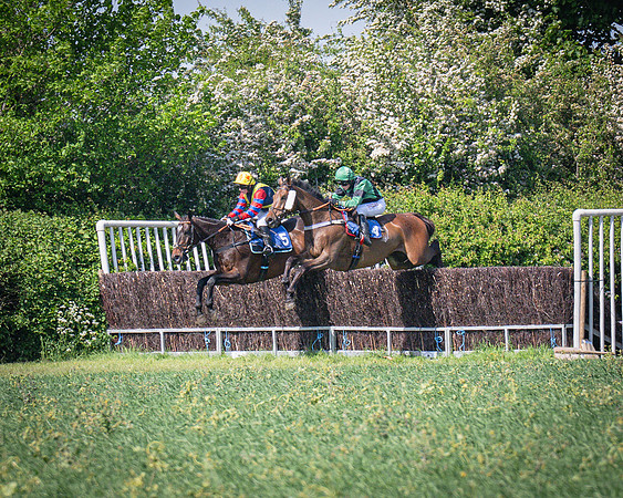 Race 3 The College and County Ladies Open Race (53 of 122)