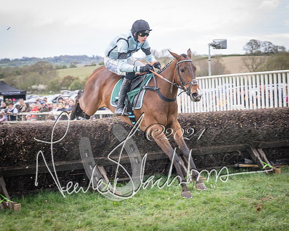 Race 2 - Tattersalls Cheltenham 4 year old Maiden (44 of 85)