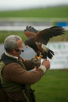 3 - CA Birds of Prey 1